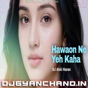Hawaon Ne Yeh Kaha (Retro Remix) - DJ Akki Haran